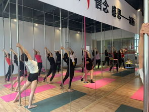 勁爆好消息！胡楊舞蹈周年特惠，僅198元體驗(yàn)舞蹈魅力！